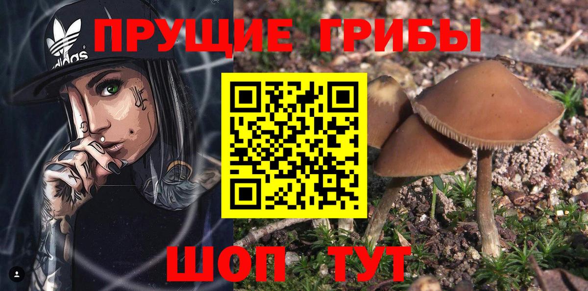 Галлюциногенные грибы Magic Shrooms Азов