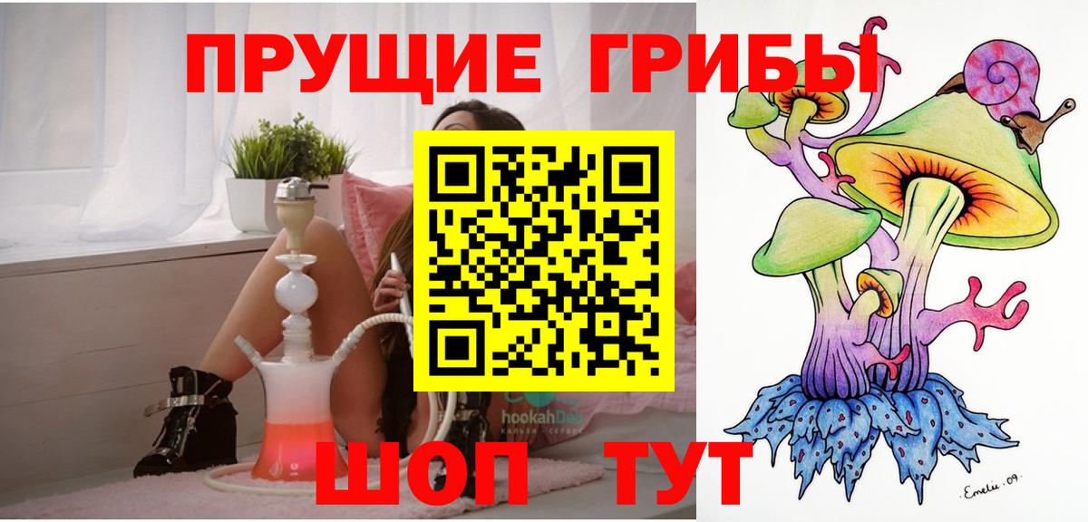 Галлюциногенные грибы Psilocybine cubensis  Вход с VPN  Азов 